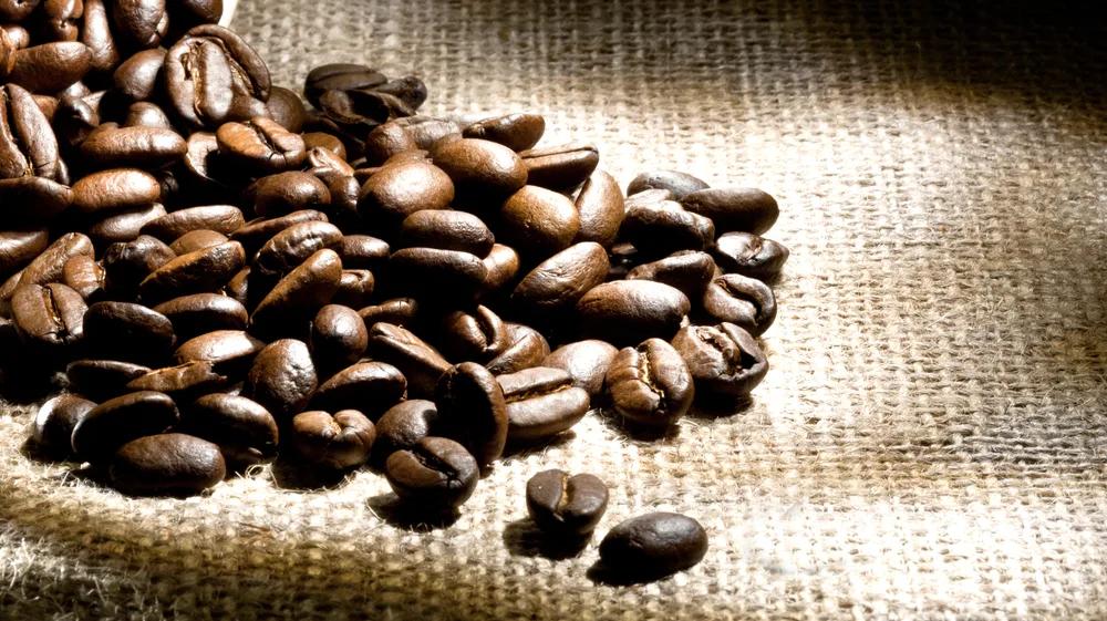 Terremoto na Colômbia paralisa porto estratégico e pressiona mercado global de café