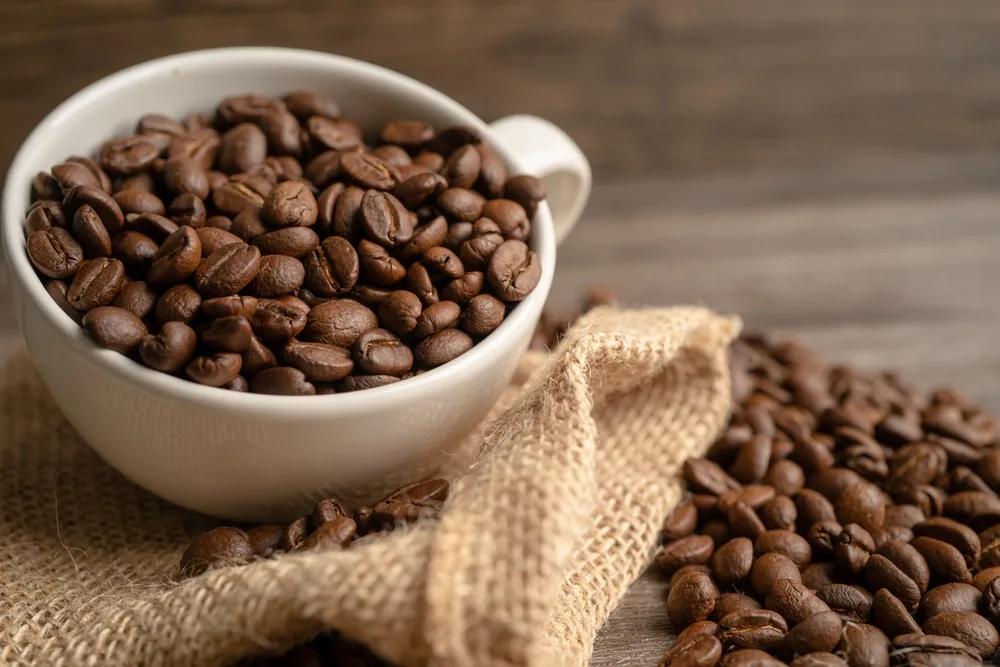 Exportações brasileiras de café: receita recua 16,5% no acumulado de janeiro a julho de 2026