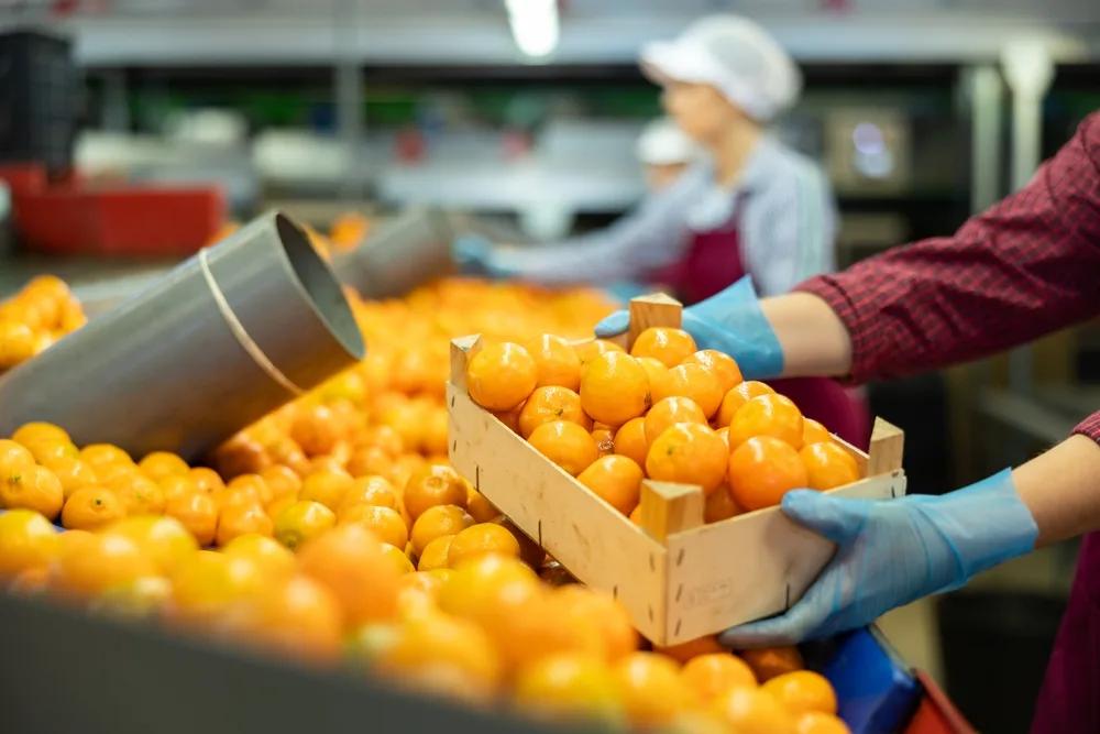 UE aprova protocolos sanitários brasileiros, café solúvel bate recorde e nova lei americana mira quem compra energia da Rússia